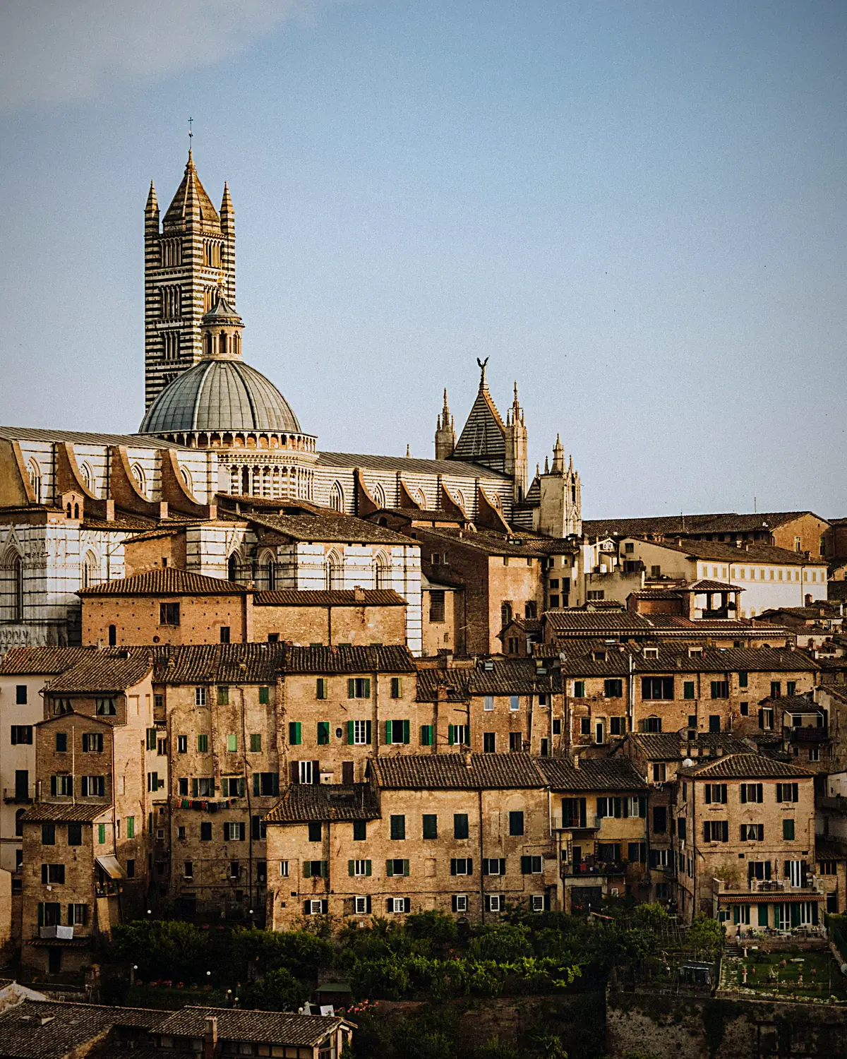 Filare di cipressi nella campagna toscana